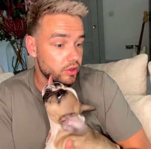 justapayneaway:Liam and Scooby: The most iconic puppies ever 