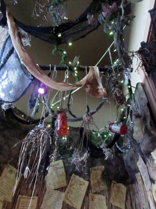 Some pics inside the swamp witch shack/front door area, where I sat to hand out the candy :)