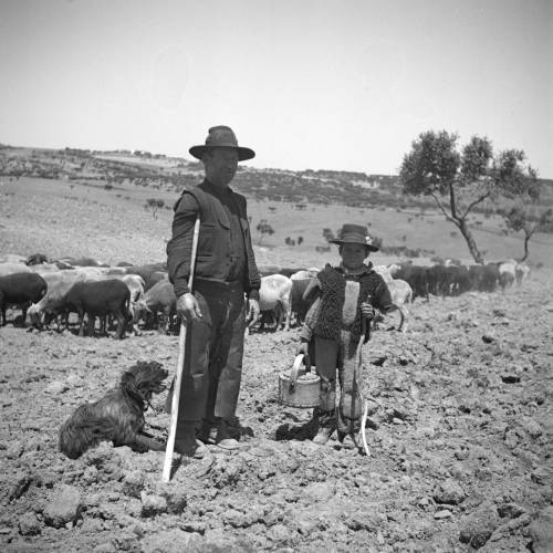  Exposição de fotografia “Artur Pastor, Um Certo Portugal”. Biblioteca e Arquivo do município de Grâ