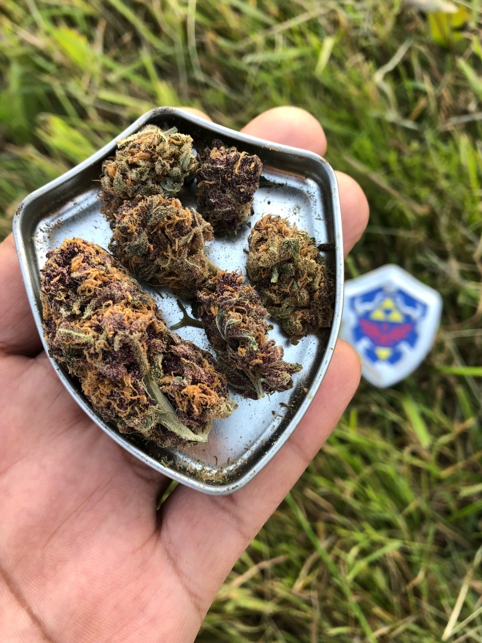 kameha8088:Smoking dat Korok kush 🍀
