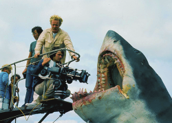 vintagegal:  On the set of Jaws, Steven Spielberg