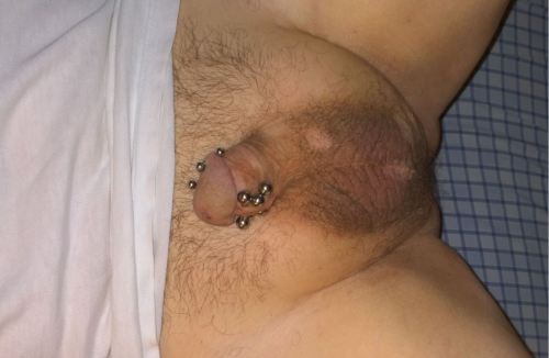 tinydickpics:After castration her tiny pierced dick shrunk to almost nothing.