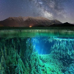 ponies-n-things:  whispersnbells: kanaryy:  sixpenceee:  IT consultant, Johannes Holzer, 38, from Krün, Germany, braved the cold to capture breath-taking shots of the milky way from a whole new perspective. They were taken from above and below the water’s