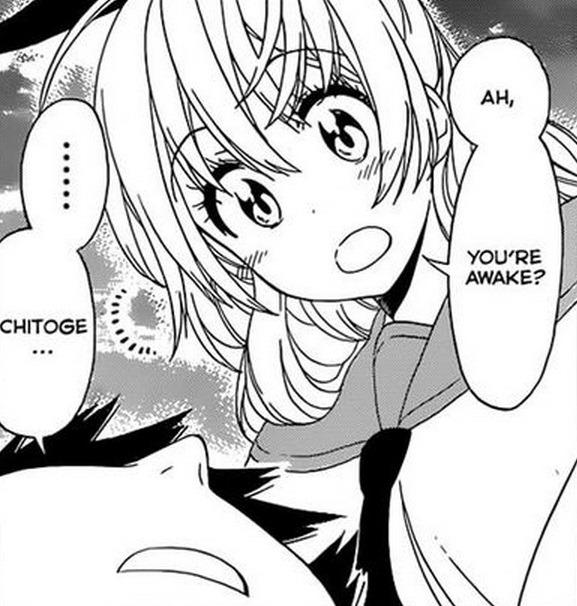 charancharan:  Nisekoi Manga Chapter 156 - The Results of the Hunt &amp; The