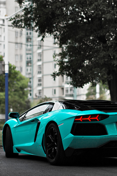 fullthrottleauto:  Tiffany Blue Aventador porn pictures