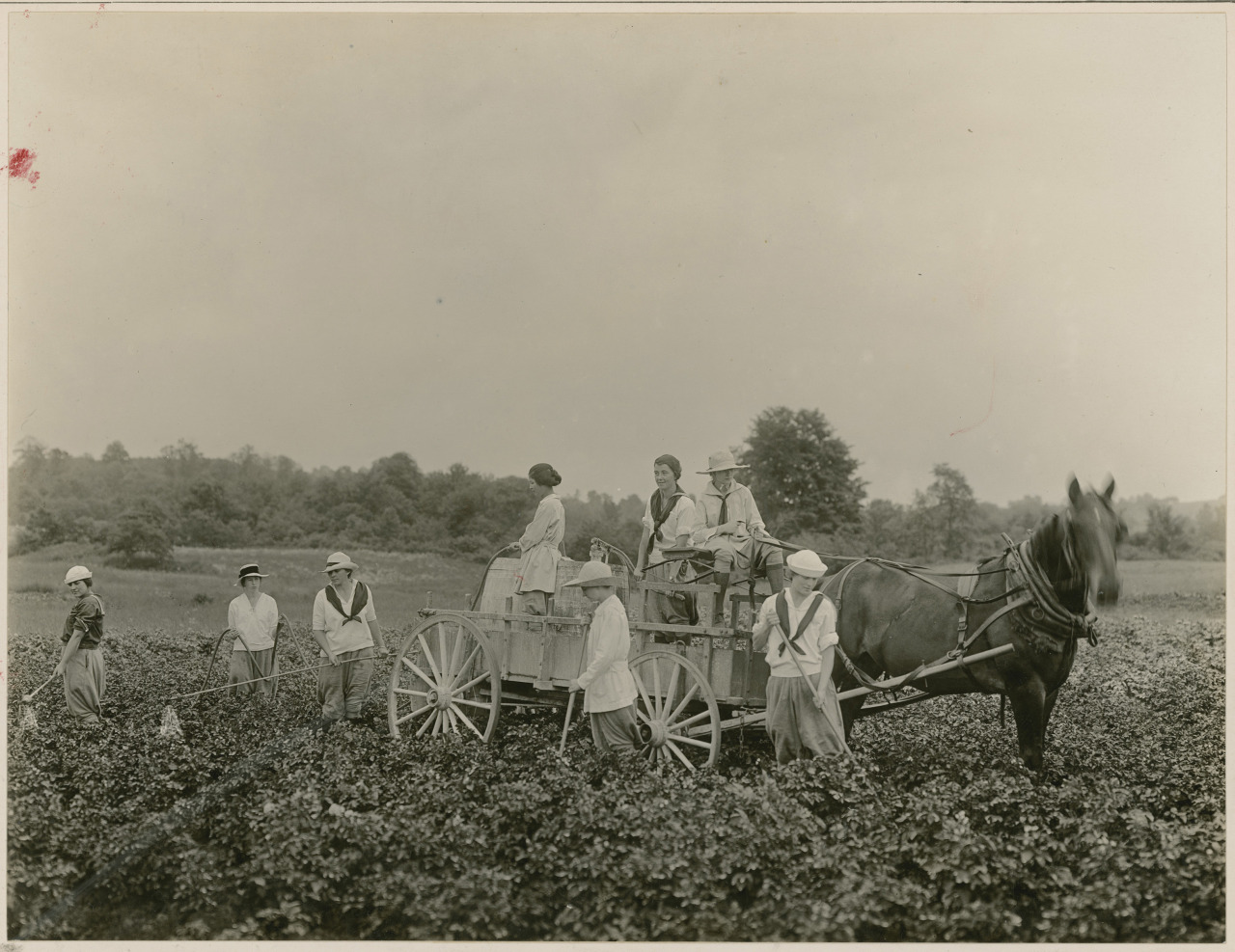 todaysdocument:  &ldquo;Students at Mt. Holyoke College Learning Agricultural