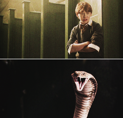 hp-picspam:  How is it that a baby with no extraordinary magical talent was able to defeat the great