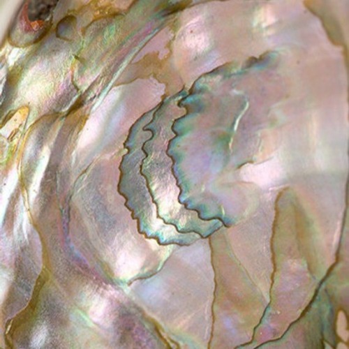 lathraios:*:･ﾟɪʀɪᴅᴇsᴄᴇɴᴛ ᴄʜᴀᴏs*:･ﾟ“On flowing water travels little paper boats; paper boats of forgi