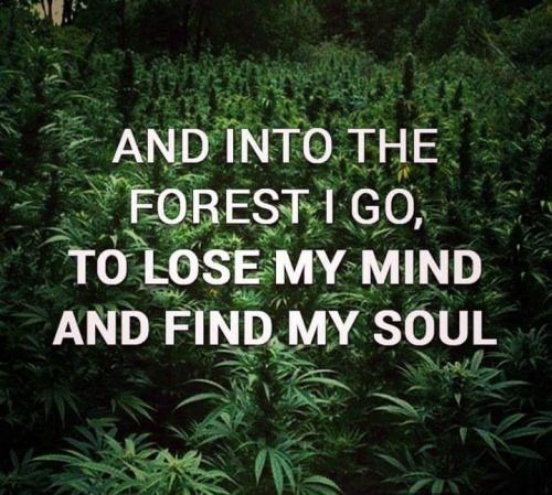 bongalongtoker:  quote