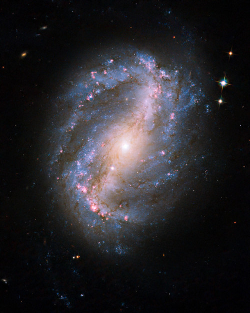 humanoidhistory:Splendiferous Hubble views of barred spiral galaxies. Click images for details.