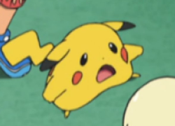 Pika !!