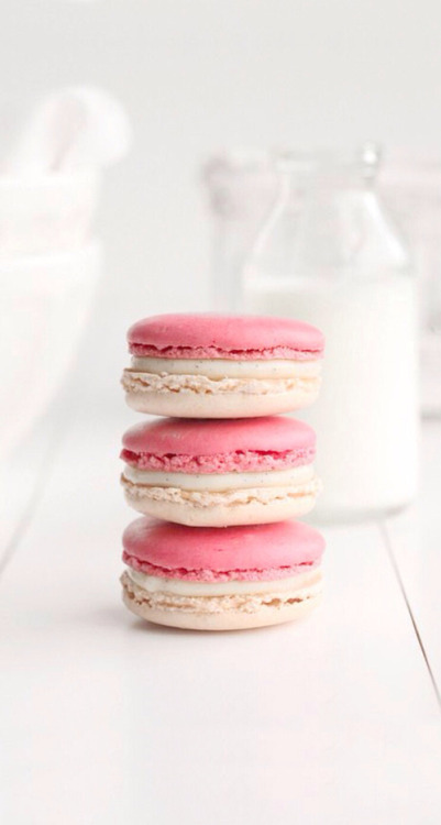 Rose Macarons