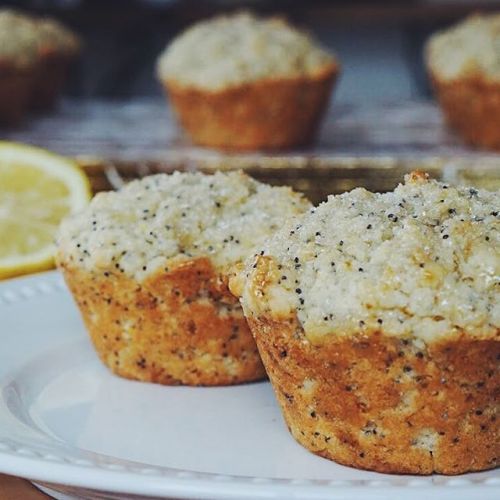 Vegan lemon poppyseed muffins Recipe in instagram comments! https://instagram.com/thecoloradoavocado