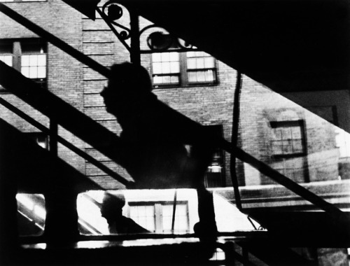 semioticapocalypse - Louis Faurer. Win, Place + Show, 3rd Ave...