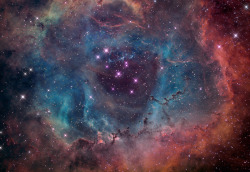 Humanoidhistory:  The Rosette Nebula Spans About 100 Light-Years Across, Lies About