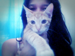 owww los ojos de mi gato :3