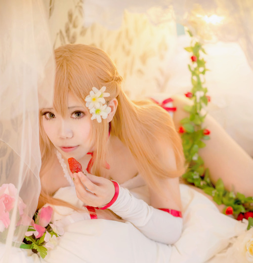 Asuna - Jjeris