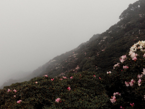 90377: Hewansan, Taiwan by KlausundLuLu
