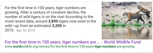 torahik0:  2016 had its share of bad times, but it was a WILD year for TIGERS!!!Have a Gr-r-reat! New Nyear~May it welcome many more trash tigers into our lives!
