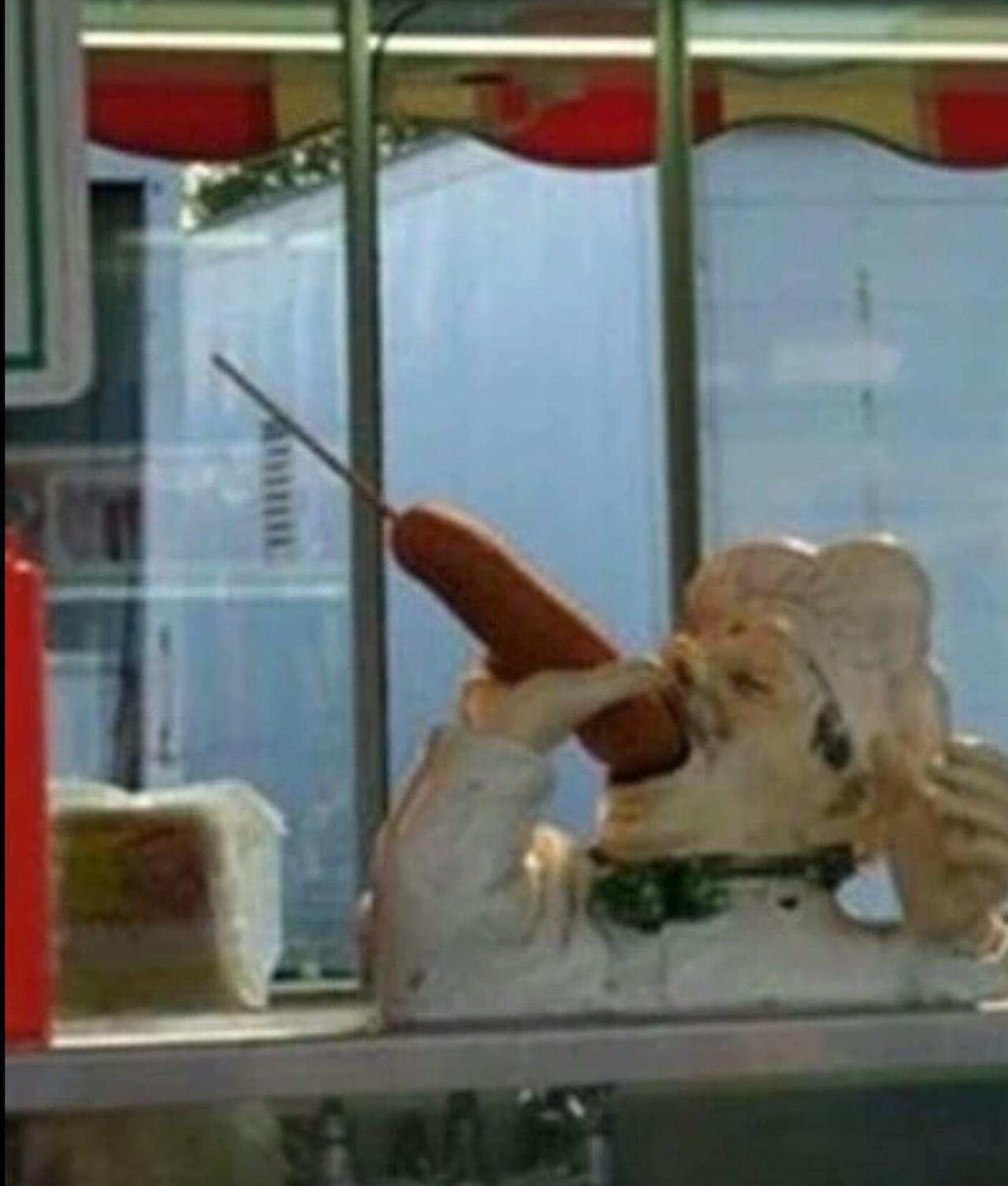 dudeholdmybeer:  chexgirlfriend:  alright so thrussy and toe sucking are both out