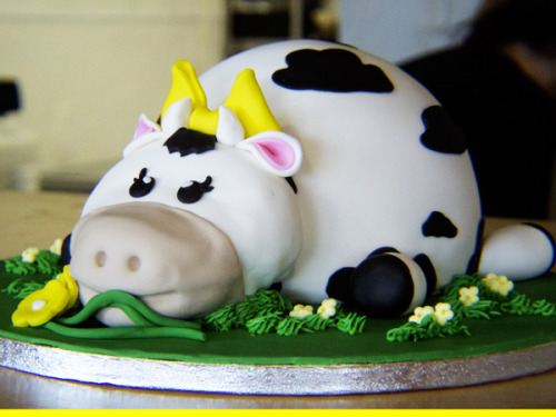 Daisy The Cow Cake