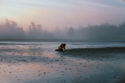 ennuih:  Gather force from the sea. by David