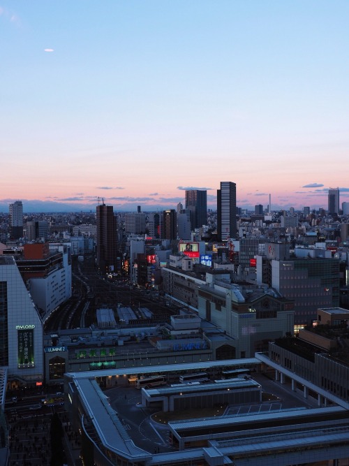 the evening sky in 新宿by iseki kou | ig