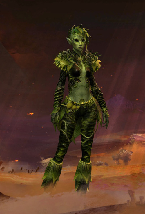 I recently got back to Guild Wars 2 after a 5 year break, got the expansions, revamped some old char