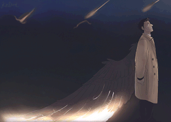 kalbane:  I was gonna do the whole burning up in the sky thing, but I really liked this :) 