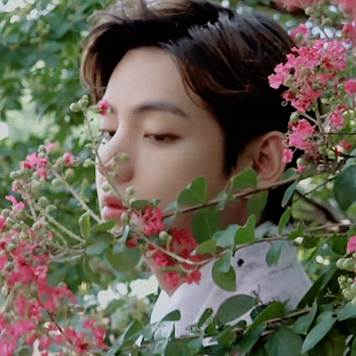 The Most Beautiful Flower