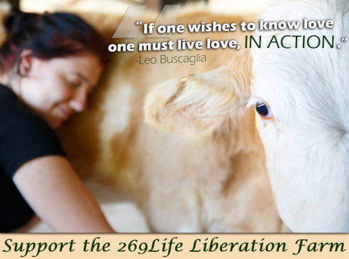 Donate now and help the liberation continue:www.269farm.com/#!donations/c1l9hPhotographer: Va