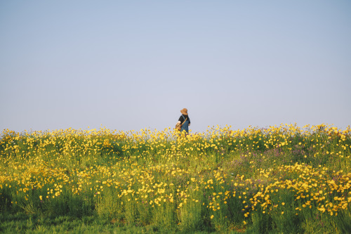 2022-05-22Haman Akyang Eco ParkCanon EOS R3 + RF50mm f1.2L