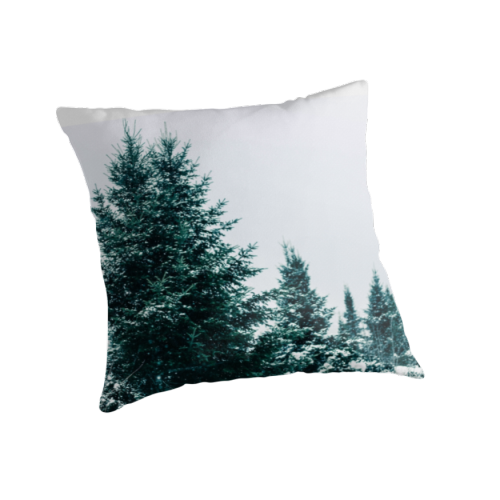 Winter Pillows here…Katie Metcalfe