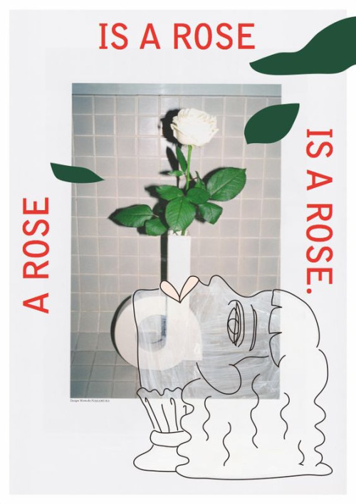 XXX gdbot:  p-e-a-c:    A Rose Is A Rose Is A photo