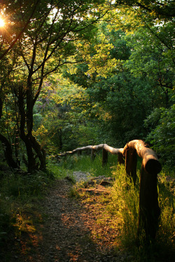 de-preciated:Bucolic Pathway (by sonofsteppe)Taken