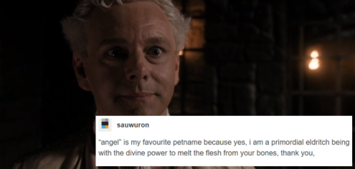 azfellandco:Aziraphale + tumblr textposts 