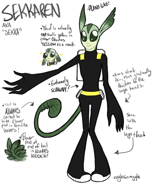 eaglesinargyle:  I’M…. NOT SURE IF THIS IS FOR FUNSIES OR IF I ACTUALLY STILL WANNA TOS