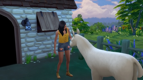 It’s Llaramie the Llama!Clover took the time to feed and brush her new animal companion and harveste