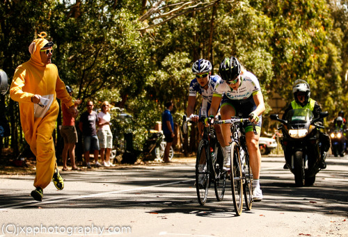 womenscycling:  2014 Australian Road National Championships Women’s Road Race (21) - Peloton Cafe Gr