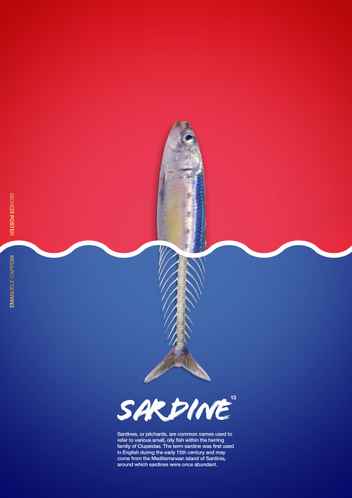 GIOVEDÌ POSTER #13 - Sardine by Emanuele Capponi