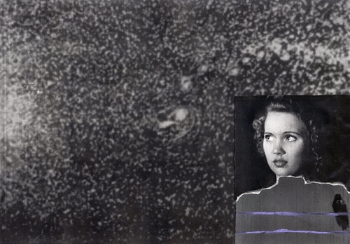 annaxmalina: annaxmalina: {2017} HATSCHI! (found footage: vortex; {1950} hell is a place called hollywood; the purple martin story. laser prints, collage, pastels; from spectrology, a series of studies made from found footage) btw: i am very sorry,