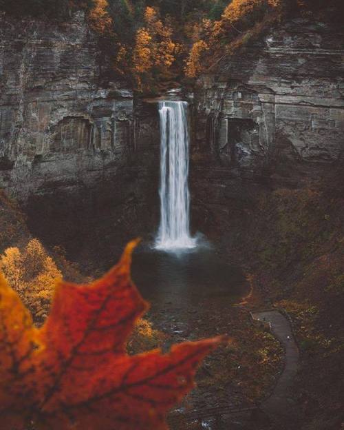 autumn-fireside: By rusticbones