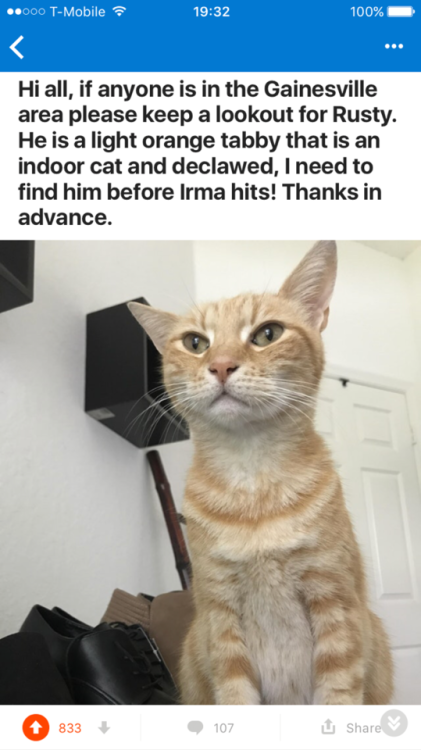 phoenixcollective:Please signal boost this.