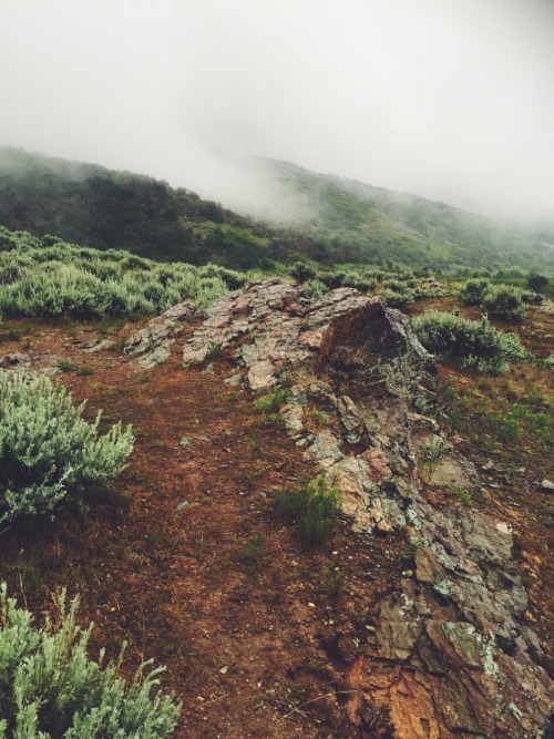 kassidoubledd: I’m so in love with this rain and fog lately