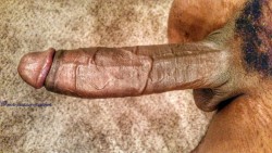 mr-pussy-crusher:  Hard as fuck this morning