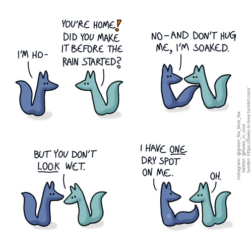 A comic of two foxes, one of whom is blue, the other is green. In this one, Blue arrives home, his colour looking slightly darker than usual. Green rushes to greet him.
Blue: I'm ho-
Green: You're home! Did you make it before the rain started?
Green reaches towards Blue, who gently presses him away.
Blue: No - and don't hug me, I'm soaked.
Green looks at Blue, confused.
Green: But you don't look wet.
Blue turns his back towards Green, showing the one spot on his back that is still the regular, lighter colour of his dry fur.
Blue: I have one dry spot on me.
Green: Oh.