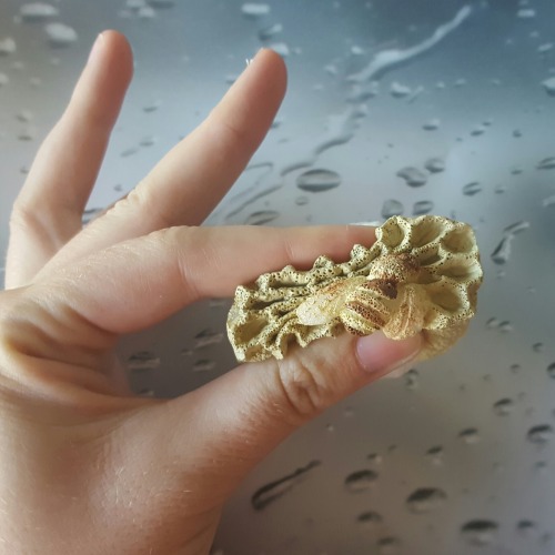 artbyca5ey: Hand-Painted Honeycomb and Bee Handmade Squishy Memory Foam Stress Ball Stimmy Fidget To