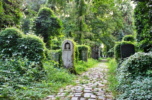 hellopoland:Old Jewish Cemetery in Wrocław by eisenbahner