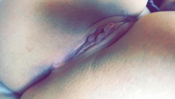 jazminerobijn:  I have the cutest labia in