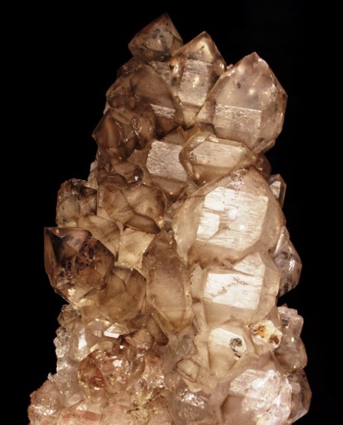 Jacare Elestial Smoky Quartz - Brazil